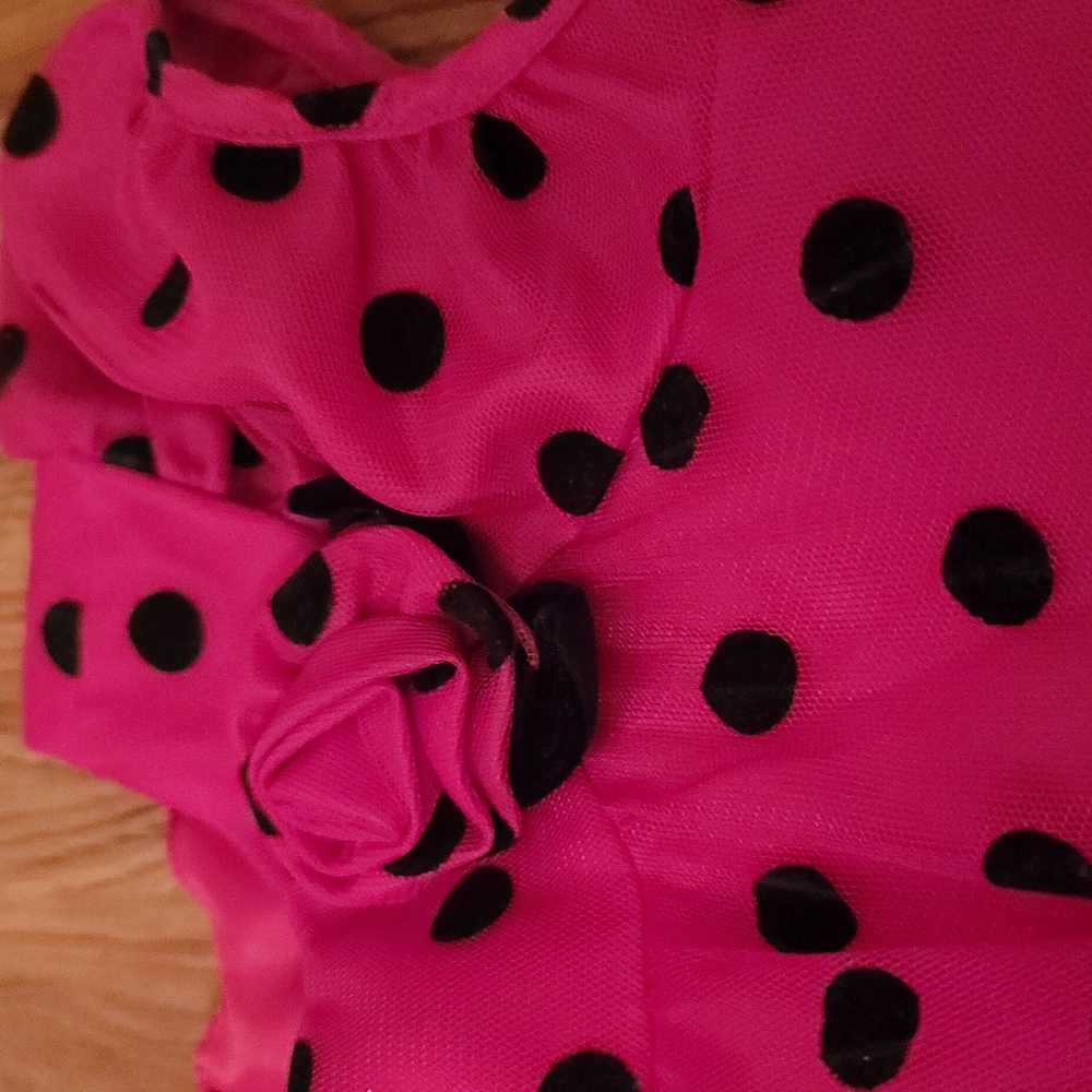 New no tags red dress with black velvet pokla dots  Sz 6 - Picture 8 of 10